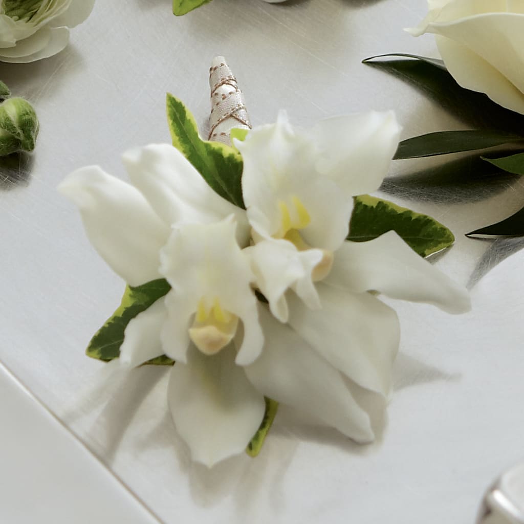 White Mini Cymbidium Boutonniere – KATHY'S FLOWERS, Adair OK