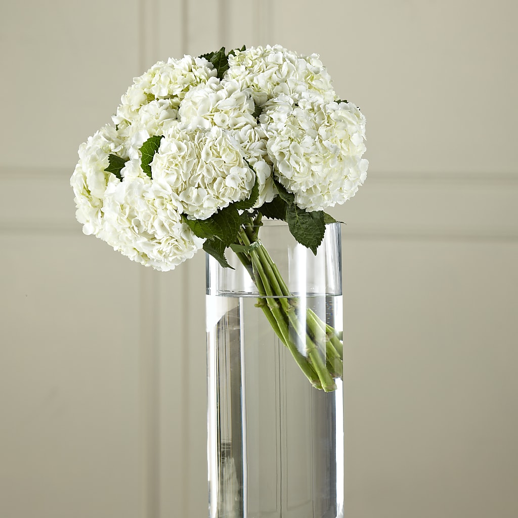 White Hydrangea Hand-Tied Bouquet – KATHY'S FLOWERS, Adair OK