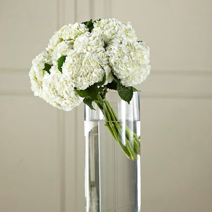 White Hydrangea Hand-Tied Bouquet – KATHY'S FLOWERS, Adair OK