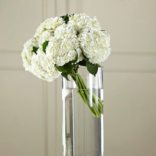 White Hydrangea Hand-Tied Bouquet – KATHY'S FLOWERS, Adair OK