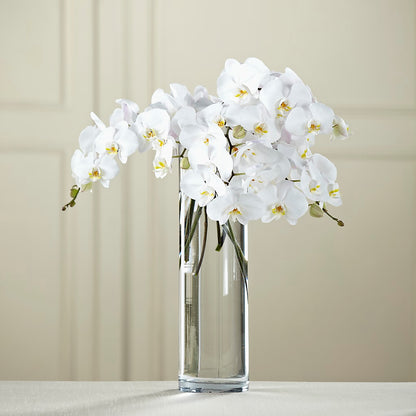 White Phalaenopsis Bouquet – KATHY'S FLOWERS, Adair OK